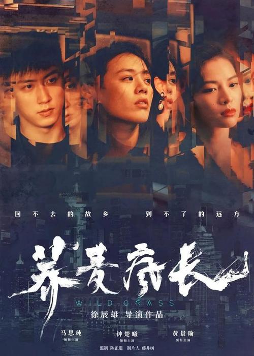 詹姆斯麦迪逊大学学士学位证